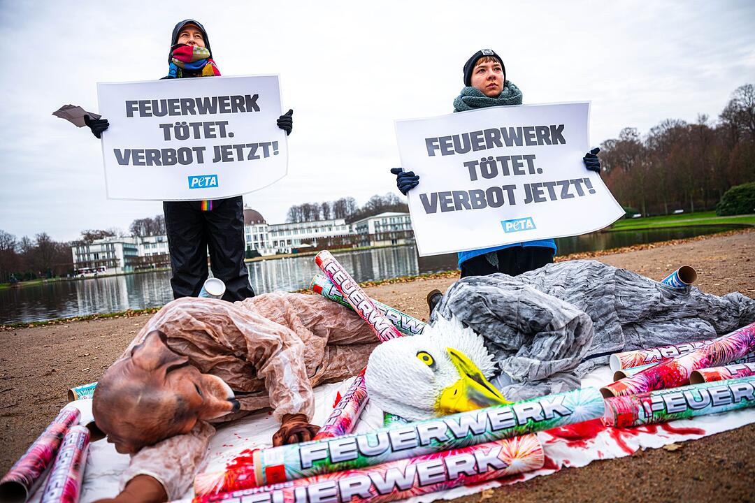 &laquo;Feuerwerk t&ouml;tet&raquo; - Aktivisten fordern Verbot an Silvester