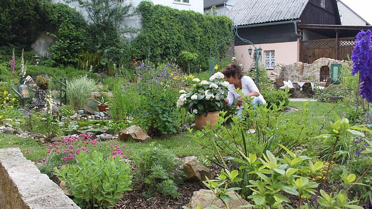 Foto: Veronika Schadeck