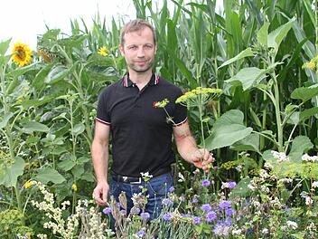 Am Rande des Maisfeldes von Alexander Wölfel wächst ein kunterbunter Blumenstreifen.  Fotos: Sonny Adam