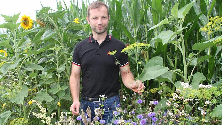 Am Rande des Maisfeldes von Alexander Wölfel wächst ein kunterbunter Blumenstreifen.  Fotos: Sonny Adam