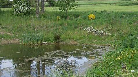 Die Gemeinde Neuenmarkt hat den Auftrag f&uuml;r den Bau eines Erdbeckens vergeben. Darin wird bei starken Niederschl&auml;gen das Wasser gesammelt und dann gedrosselt wieder abgegeben. Symbolfoto: Sabine Weinbeer