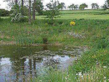 Die Gemeinde Neuenmarkt hat den Auftrag für den Bau eines Erdbeckens vergeben. Darin wird bei starken Niederschlägen das Wasser gesammelt und dann gedrosselt wieder abgegeben. Symbolfoto: Sabine Weinbeer
