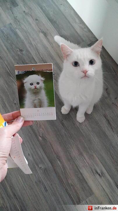 Foto: Katja Paczulla