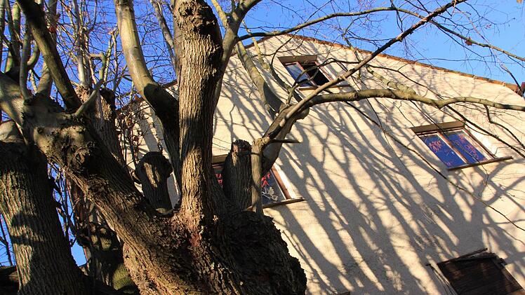 Das alte Brauhaus Foto: Matthias Einwag