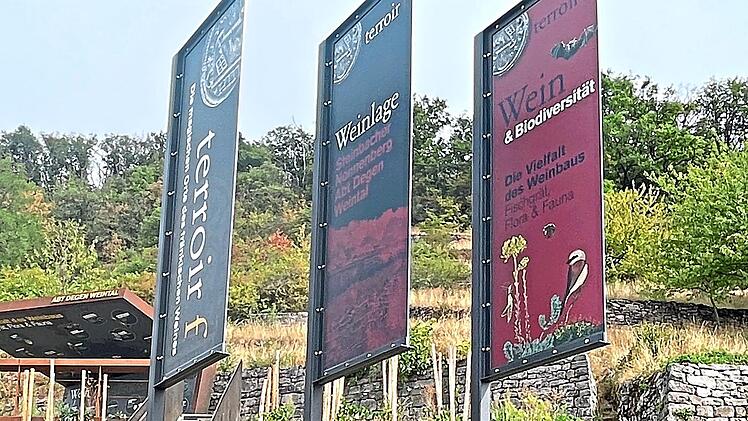 Der &bdquo;terroir-f-Punkt&ldquo; im &bdquo;Abt-Degen-Weintal zwischen Steinbach und Ziegelanger mit alter und neuer Treppe.