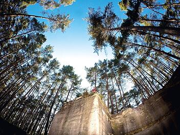 Wernsbacher Steinbrüche im Fränkischen Seeland, Geotop Historische Steinbrüche Wernsbach in der Nähe von Georgensgmünd im Landkreis Roth