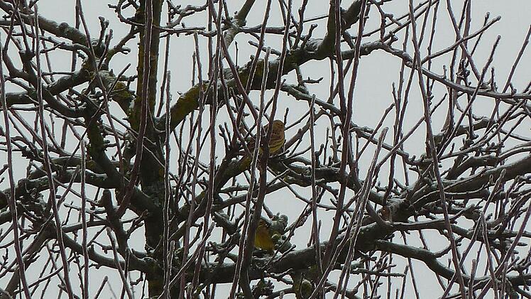 Foto: Yvonne Grasser