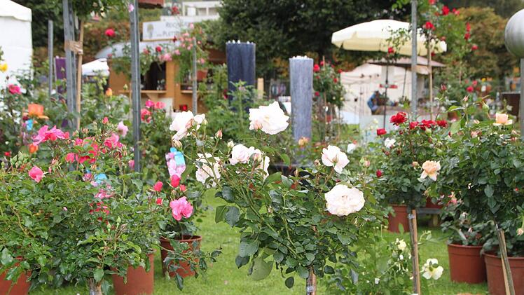 Foto: Sebastian Vogt