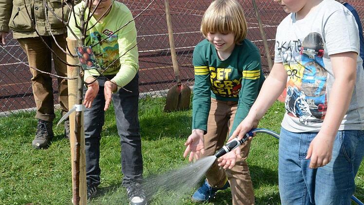 Impressionen vom Obstbaum-Pflanztag an der Grundschule Melkendorf  Foto: Dagmar Besand