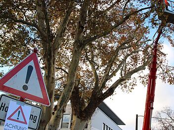 Rund um das Landratsamt. Foto: Ralf Ruppert