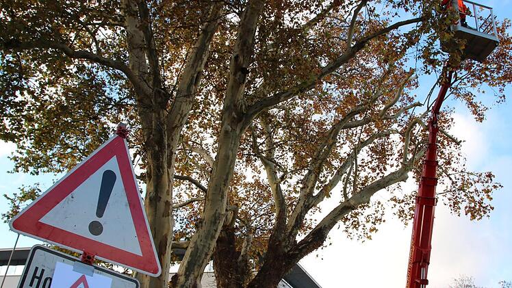 Rund um das Landratsamt. Foto: Ralf Ruppert