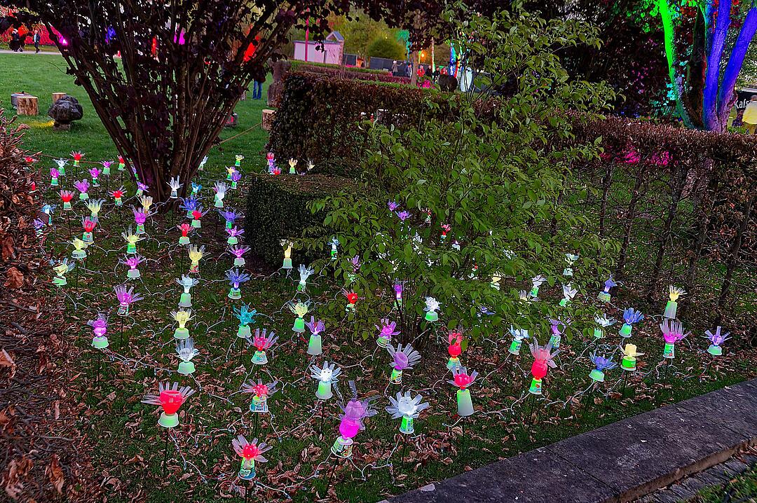 Eine magische Kulisse mit effektvoll platzierter Lichtkunst.