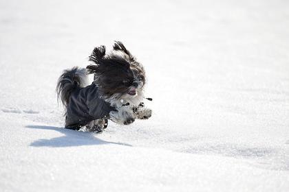 Foto: Bettinimachtfotos