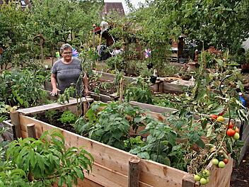 Margarete Dorsch steht an ihren Hochbeeten. Dort kann alles wachsen und gedeihen. Helmut Will