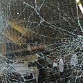 Völlig ausgerastet ist in der Nacht zum Sonntag ein alkoholisierter 21-Jähriger in Kulmbach. Die Bilanz seines mehrstündigen Treibens: 5 Strafanzeigen - unter anderem wegen der Zerstörung eines Schaufensters. Symbolbild: Marc Müller dpa/lby