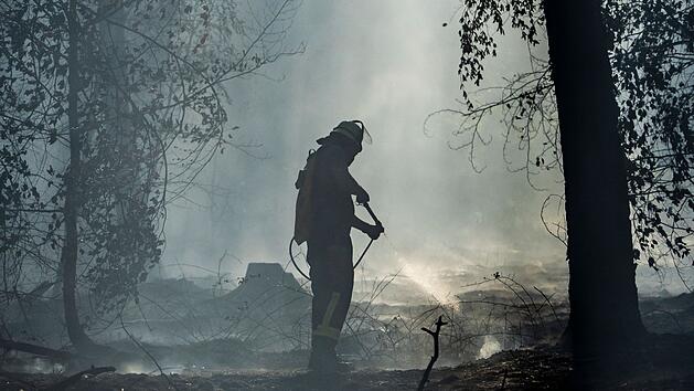 Waldbrand in Hessen