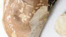 BirkenporlingWie eine Konsole hängt dieser parasitäre Pilz an birken. Ötzi hatte ihn ebenfalls  in seinem Beutel dabei, denn der Birkenporling gilt als "Apotheke für unterwegs": Wird er in dünne Scheiben geschnitten und als Pflaster auf eine Wunde gelegt, wirkt er desinfizierend und wundheilend.