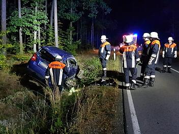 Im Stra&szlig;engraben landete das Auto eines 21-j&auml;hrigen Autofahrers, als dieser einem die Fahrbahn kreuzenden Reh auswich. Foto: Christian Licha