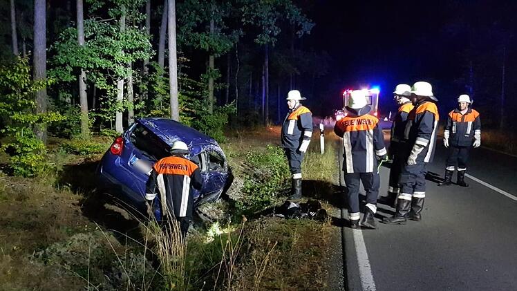 Im Straßengraben landete das Auto eines 21-jährigen Autofahrers, als dieser einem die Fahrbahn kreuzenden Reh auswich. Foto: Christian Licha