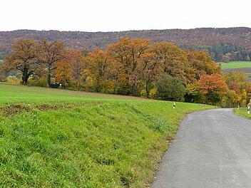 Unter alten Eichen und Nußbäumen sollen am Ortsrand von Peulendorf in Richtung Scheßlitz zwei Bauplätze ausgewiesen werden. Im Hintergrund rechts der ehemalige Fohlenhof. Foto: Ronald Rinklef