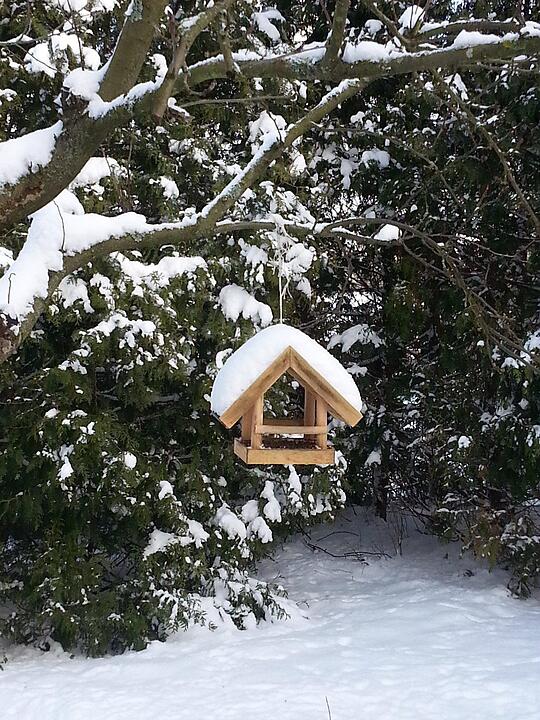 Schnee und Eis - Die schönsten Aufnahmen aus Franken