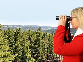 Auf der Suche nach einem dritten Nationalpark in Bayern ist nun auch der Frankenwald im Fokus von Ulrike Scharf. Foto: S. Will/Fotomontage: D.Klumb