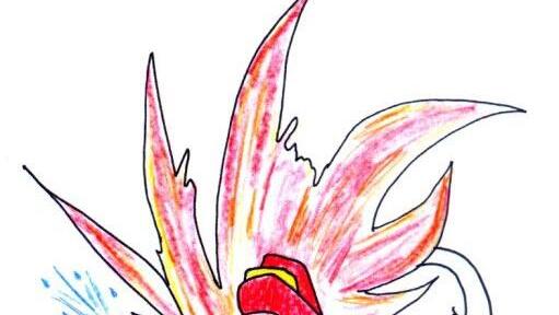 Der Siegerentwurf aus dem Hause Seitz