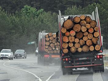 Verkehrschaos im Kreis Kulmbach: Holztransporter demoliert Ampel Verkehrschaos im Kreis Kulmbach: Holztransporter demoliert Ampel