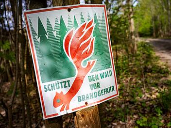 Waldboden brennt in Coburg - erneuter Brand im Wald bei Meeder
