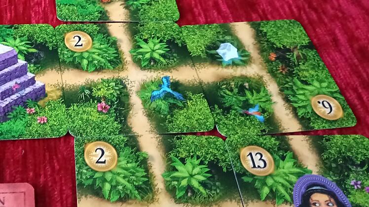 Spiele-Test "Karuba - Das Kartenspiel":  Auf der schnellen Suche nach dem Dschungelpfad