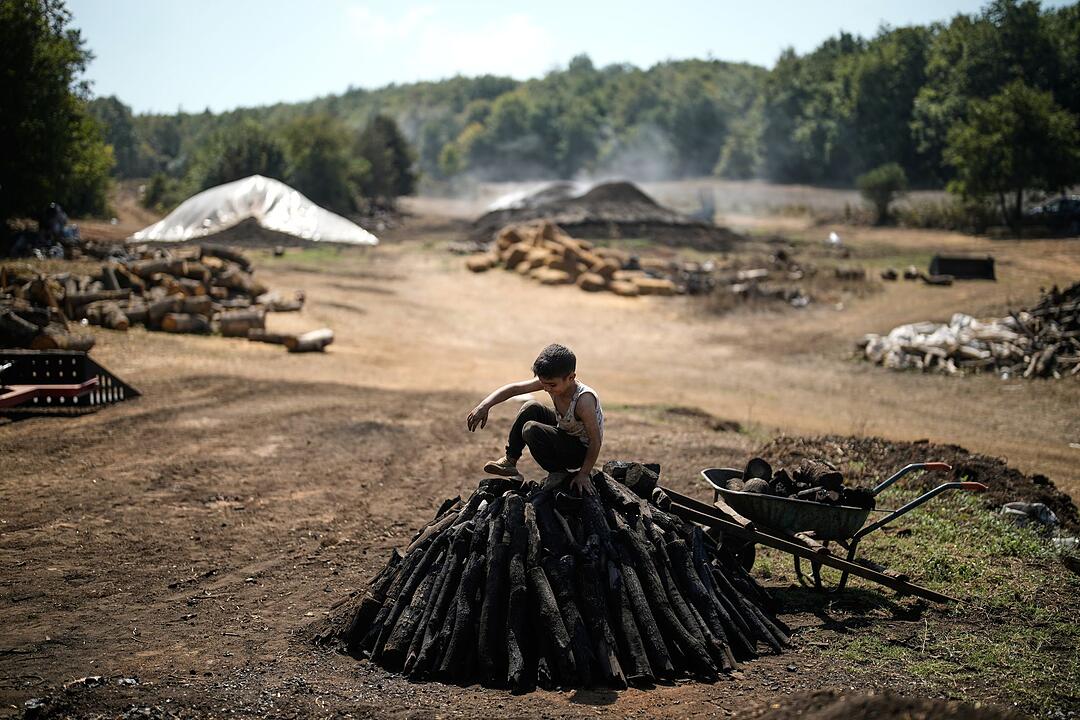 Holzkohle-Produktion in der T&uuml;rkei
