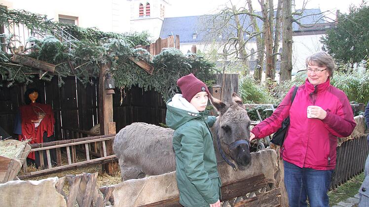 Streicheleinheiten für den drolligen Esel im Garten der Alten Villa