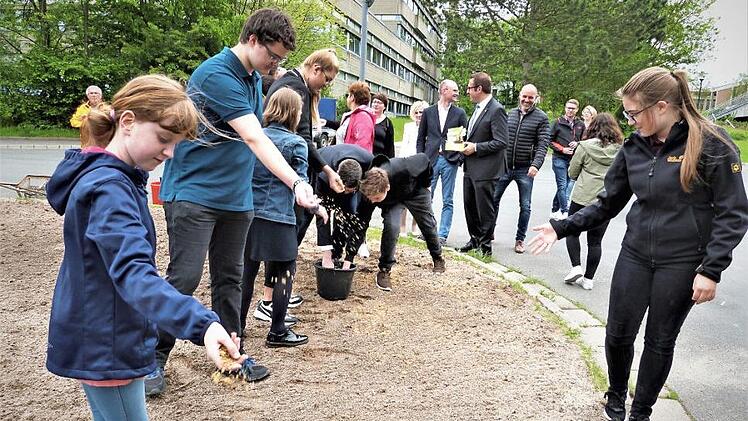 Die vorbereitete Fläche am Wendehammer der Bushaltestelle wurde von den Schülern der Schüler-AG "Real Apple" eingesät. Dort soll eine Blühfläche als Hummeltankstelle entstehen. Foto: Werner Reißaus