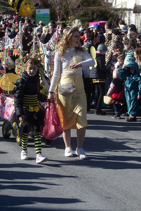 Fasching 2025 in Emskirchen!