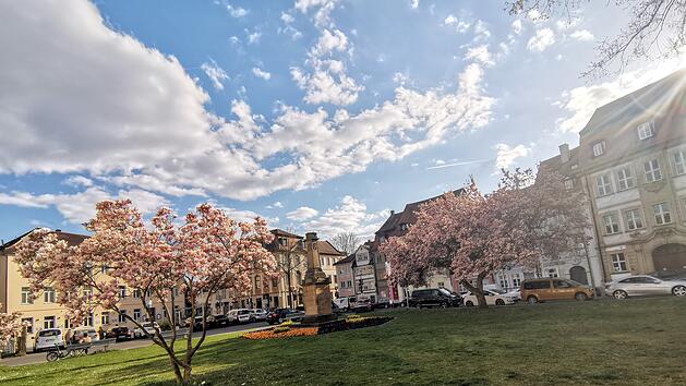 Magnolienbl&uuml;te am Schillerplatz in Bamberg