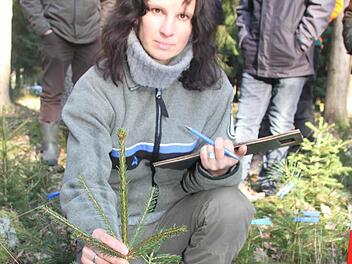 Anja Mörtlbauer hat eine Fichte mit Verbissschäden gefunden. Foto: Sonja Adam