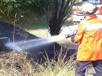 Die Feuerwehrleute aus Kronach und Gehülz waren im Bereich der Tannenstraße im Einsatz. Dort musste eine Fläche von über 30 Quadratmetern gelöscht werden. Foto: Stefan Wicklein