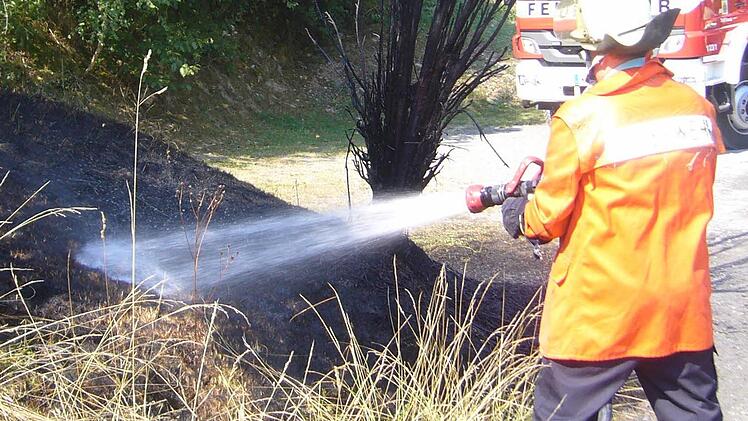 Die Feuerwehrleute aus Kronach und Gehülz waren im Bereich der Tannenstraße im Einsatz. Dort musste eine Fläche von über 30 Quadratmetern gelöscht werden. Foto: Stefan Wicklein