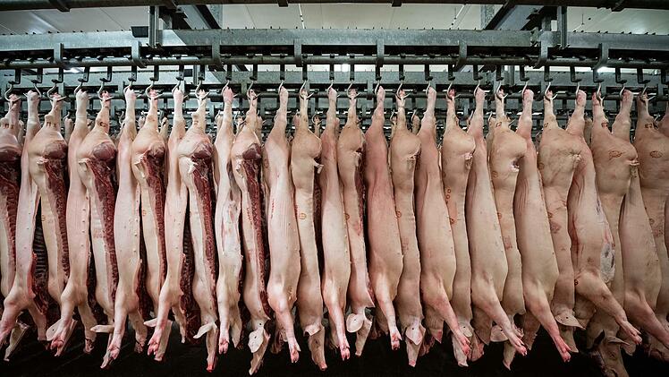 Jährlich werden bundesweit fast 60 Millionen Schweine geschlachtet.
