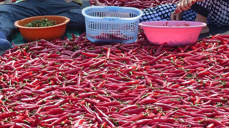 Vorsicht scharf: In der ostasiatischen Küche wird mit Chilis nicht gespart.Foto: Manfred Wagner