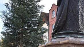 Der Weihnachtsbaum steht direkt hinter einer großen Queen-Victoria-Statue. Foto: Michael Selzer/Stadt Coburg