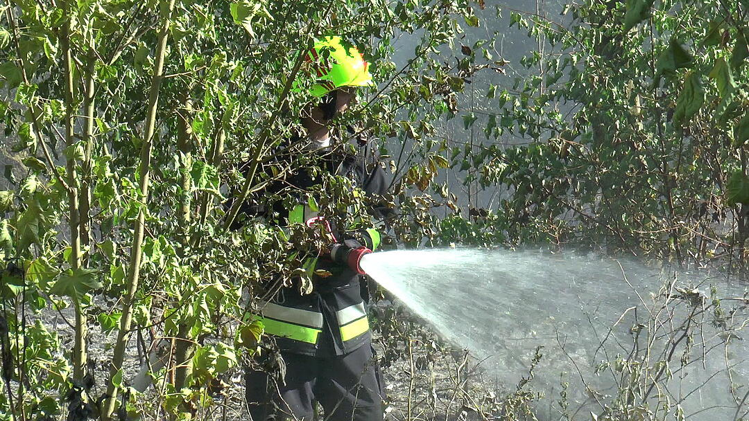 Waldbrand im Kreis Haßberge: Feuerwehr kämpft mit Großaufgebot gegen die Flammen