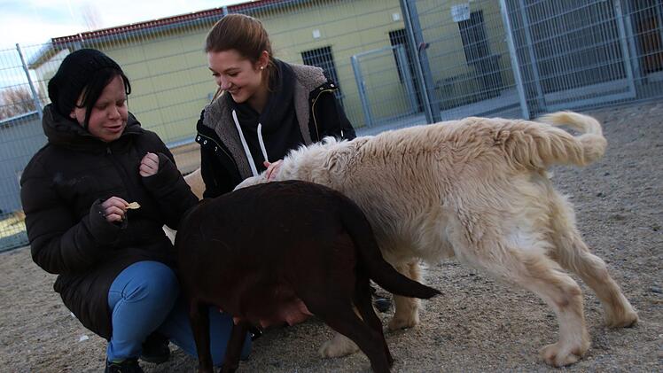 Das Tierheim Haßberge bei Zell Foto: Teresa Hirschberg