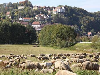 Sieht so die Egloffsteiner Zukunft aus? Viele Tiere, wenig Menschen   Foto: Reinhard Löwisch