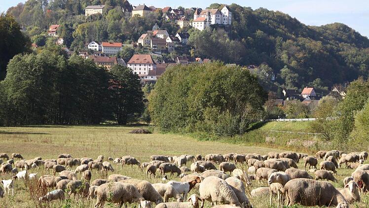 Sieht so die Egloffsteiner Zukunft aus? Viele Tiere, wenig Menschen   Foto: Reinhard Löwisch