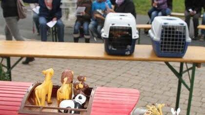 Echte Tiere trafen auf die Spielzeugtiere der Arche Noah.