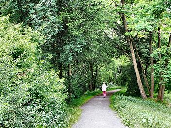 Der Damm entlang der Lauer ist ein beliebter Spazierweg. Wenn allerdings die Bäume und Sträucher entfernt werden, dann verliert er viel von seiner Funktion als Naherholungsgebiet. Doch Fachleute weisen darauf hin, dass der Damm nur dann seine ursprüngliche Funktion als Hochwasserschutz gewährleisten kann.  Foto: Dieter Britz