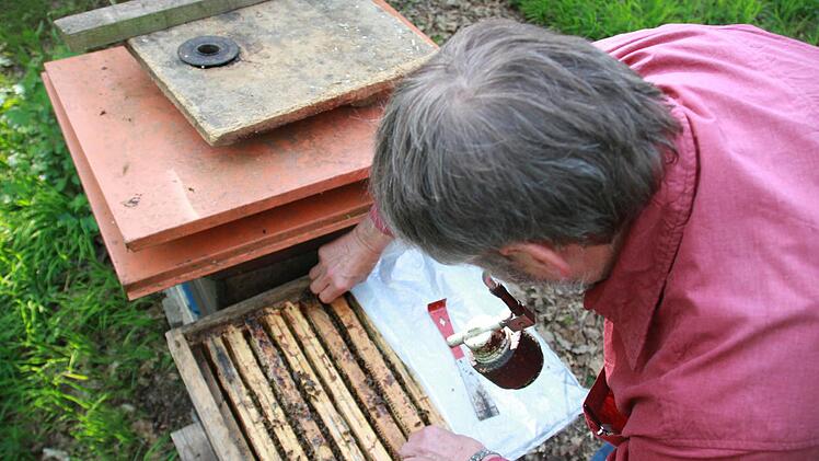 Erhard Bieber hat die Hälfte seiner Bienen im Winter verloren. Er will seine Völker wieder aufbauen: "Man darf den Mut nicht verlieren." Foto: Carmen Schmitt