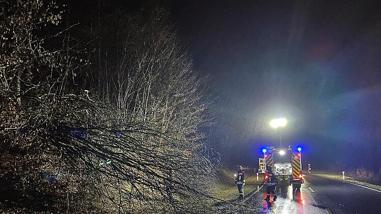 Die Feuerwehr Bad Brückenau beseitigte die Schäden von Sturmtief "Sabine": umgestürzte Bäume, lose Dachteile, abgebrochene Äste und umgestürzte Bauzäune. Foto: Sebastian Gerr