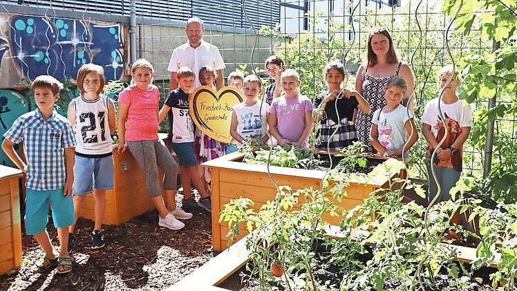 Die Umwelt-AG-Kinder der Friedrich-Baur- Grundschule inmitten ihres gr&uuml;nen Schul-Paradieses. &Uuml;ber die gelungene Bepflanzung freuen sich auch Stefan S&uuml;sel von der RB Bank und stellvertretende Rektorin Birgit Rupp.